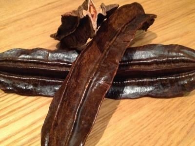 Le fruit 4 côtes (X3)